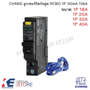 CHANG RCBO เซอร์กิตกันไฟดูด 1P 16A 20A 32A 40A 1Pole 30mA 10kA ช้าง รุ่น RO1 Plug-on เซอร์กิตเบรคเกอร์ ลูกย่อยเบรคเกอร์