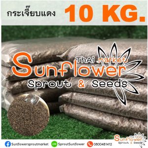 【PROMOTION】เมล็ดพันธุ์กระเจี๊ยบแดง ต้นอ่อนกระเจี๊ยบแดง (10 กิโลกรัม)