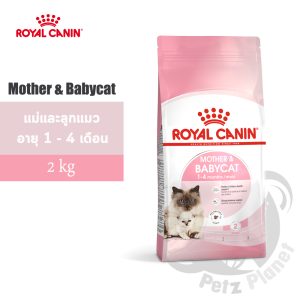 Royal Canin Mother&BabyCat อาหารสำหรับแม่แมวช่วงตั้งท้องและให้นม และลูกแมวหย่านม-4เดือน ขนาด2กก.