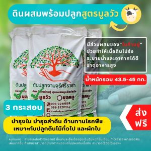 (ส่งฟรี)ดินผสมใบก้ามปูสูตรขี้วัวบด 3 กระสอบ(14.5-15 kg./กระสอบ) จัดส่ง 5-7 วันทำการค่ะ