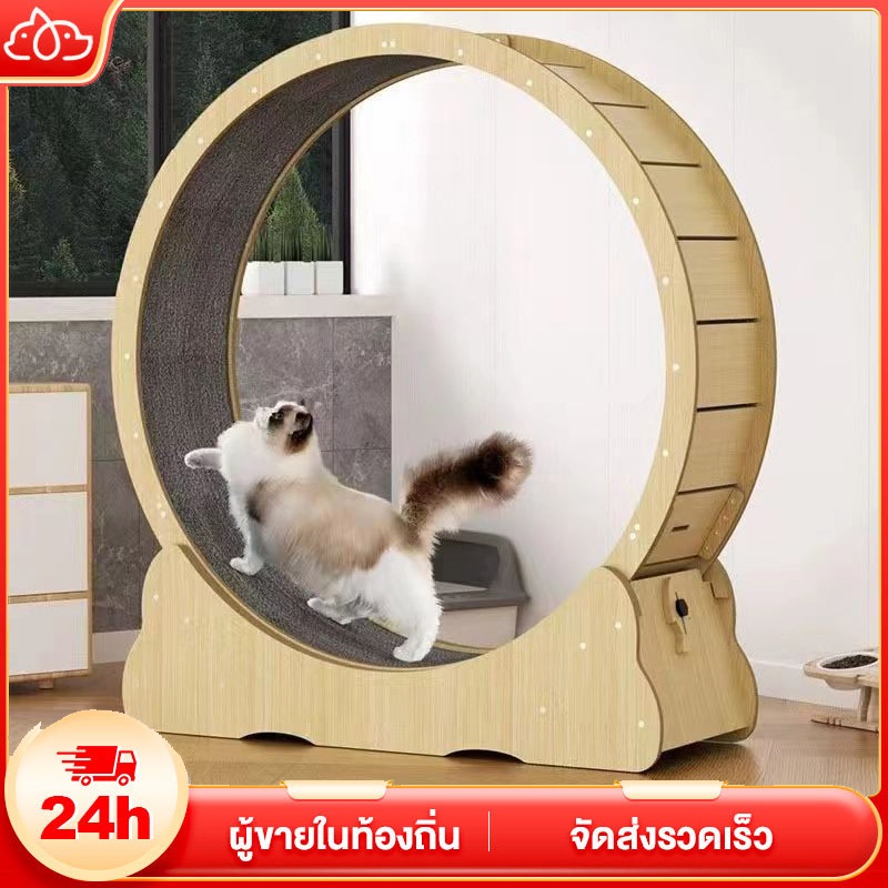 ลู่วิ่งแมว ออกกำลังกาย ขนาดใหญ่ ที่ออกกำลังกายสัตว์เลี้ยง Pet treadmill