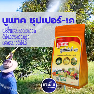 นูแทค ซุปเปอร์เค_1กก.(สินค้าผลิตใหม่✅ของแท้) ซุปเปอร์เค ลดการหลุดร่วง,ขั้วดอกเหนียว,เร่งดอก,เร่งผล,เพิ่มน้ำหนัก แน่น