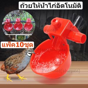 ถูก แพ็ค10ชุด ถ้วยให้น้ำไก่อัตโนมัติ ถ้วยให้น้ำไก่อัตโนมัติแดง​ ถ้วยให้น้ำอัตโนมัติสี/ไก่/นกกระทา ปรับน้ำได้ ถอดล้างได้