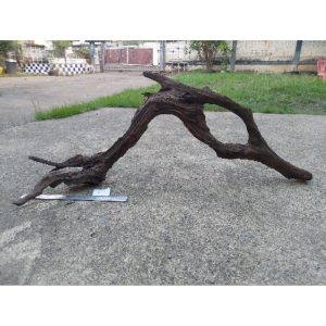 ขอนไม้ กิ่ง ราก ตอ แต่งตู้ปลา ตู้ไม้น้ำ “ขนาดกลาง-ใหญ่” แต่งกรงสัตว์เลี้ยง  ตู้งู ตู้กิ่งก่า กรงนก