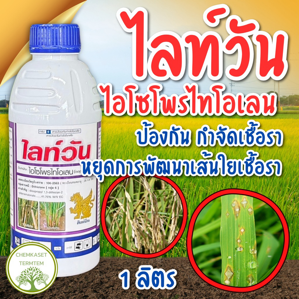 ไลท์วัน ไอโซโพรไทโอเลน 1 ลิตร ยาฉีดข้าวโรคเชื้อรา รักษาใบไหม้ ราหลุม เน่าคอรวง