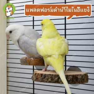 [มีในสต็อก + จัดส่งจากประเทศไทย]ที่วางนกแก้ว ชินชิล่า กระรอก หนูแฮมสเตอร์ อุปกรณ์นก เหยียบ สปริงบอร์ด อุปกรณ์สัตว์เลี้ยง ฟันและปีน