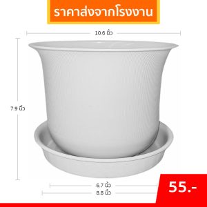 กระถางต้นไม้ มินิมอล ถ้วยจีน+จาน ขนาด 10 11 นิ้ว สีขาว Bundle 5 ใบ ชิ้น อัน