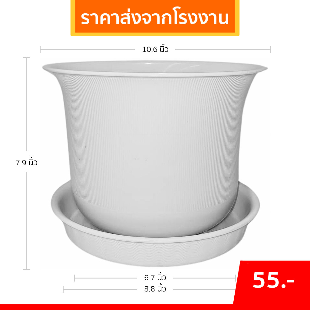 กระถางต้นไม้ มินิมอล ถ้วยจีน+จาน ขนาด 10 11 นิ้ว สีขาว Bundle 5 ใบ ชิ้น อัน