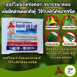 จิบเบอเรลลิก แอซิด 20 เอสที (5 กรัม) [กรดจิบเบอเรลลิก] ฮอร์โมนยืดช่อดอก เพิ่มสัดส่วนดอกตัวผู้ ขยายขนาดผล กระตุ้นการงอก