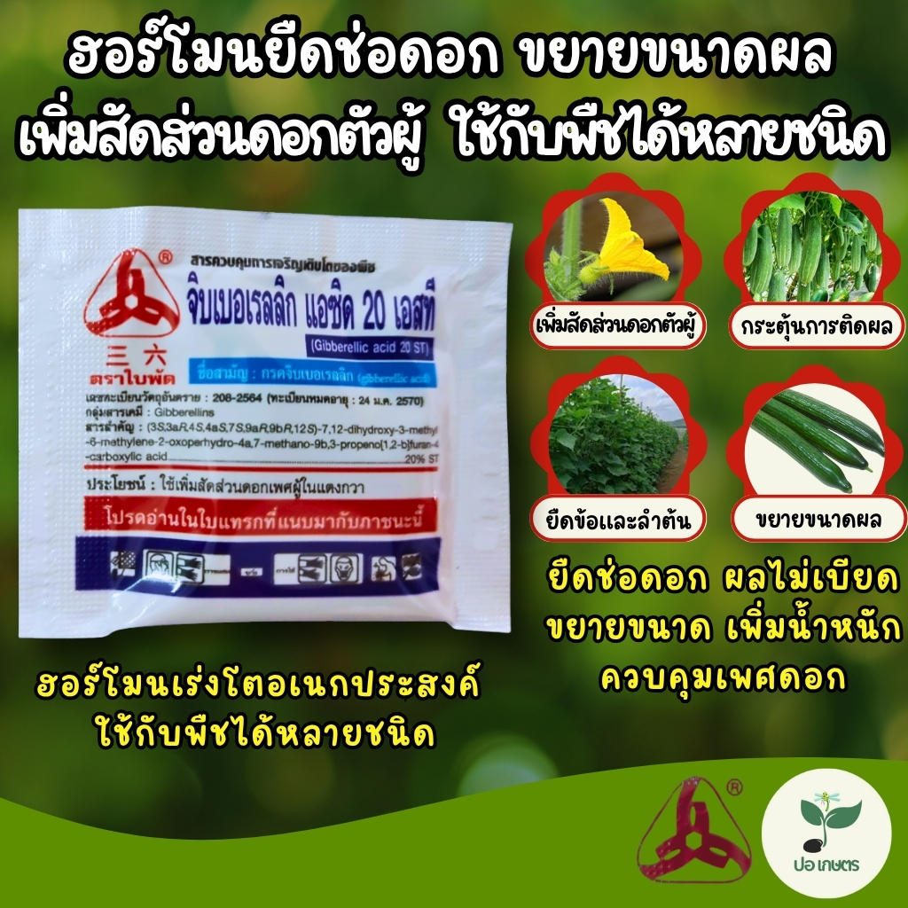จิบเบอเรลลิก แอซิด 20 เอสที (5 กรัม) [กรดจิบเบอเรลลิก] ฮอร์โมนยืดช่อดอก เพิ่มสัดส่วนดอกตัวผู้ ขยายขนาดผล กระตุ้นการงอก