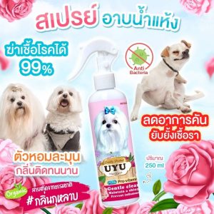 สเปรย์อาบน้ำแห้ง สำหรับสุนัขทุกสายพันธุ์ (กลิ่นกุหลาบ) ไม่ต้องใช้น้ำ ดูแลขน ขนฟูนุ่มน่ากอด ลดกลิ่นสาบ กลิ่นหอม 250 ml.