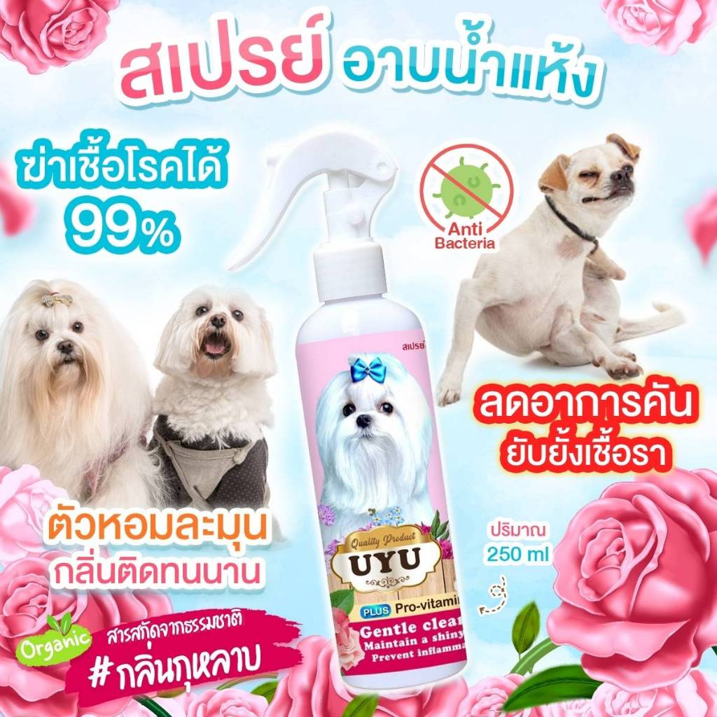 สเปรย์อาบน้ำแห้ง สำหรับสุนัขทุกสายพันธุ์ (กลิ่นกุหลาบ) ไม่ต้องใช้น้ำ ดูแลขน ขนฟูนุ่มน่ากอด ลดกลิ่นสาบ กลิ่นหอม 250 ml.
