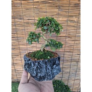 กระถางต้นไม้ลายหินNo7เหมือนหินจริงมากๆ