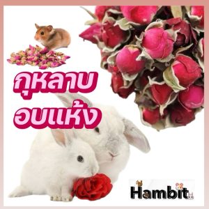 Hambit. กุหลาบอบแห้ง 50G. กรัม สำหรับสัตว์เลี้ยง ใช้เป็นอาหาร ขนมแฮสเตอร์ กระต่าย แกสบี้ ชินชิล่า แต่งกรงได้มีกลิ่นหอม