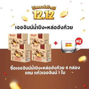 (4 กล่อง+แก้ว 1 ใบ) เจอจินน์ น้ำขิงแท้ผสมหล่อฮังก๊วย สูตรดูแลทางเดินหายใจ ไอ เจ็บคอ GM4