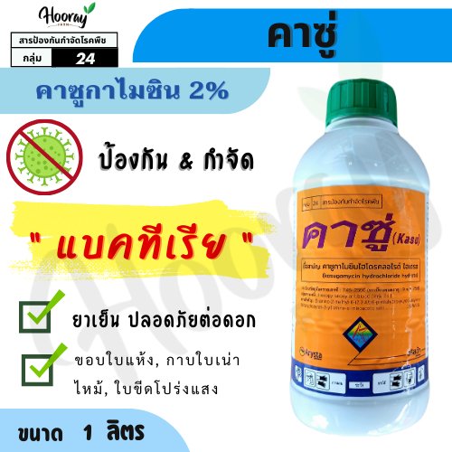 คาซู่ 1 ลิตร (ของแท้)( คาซูกาไมซิน 2% ) รักษาเชื้อรา แบคทีเรีย โรคไหม้ เน่าเละ ใบจุด ใบขีด กาบใบแห้ง