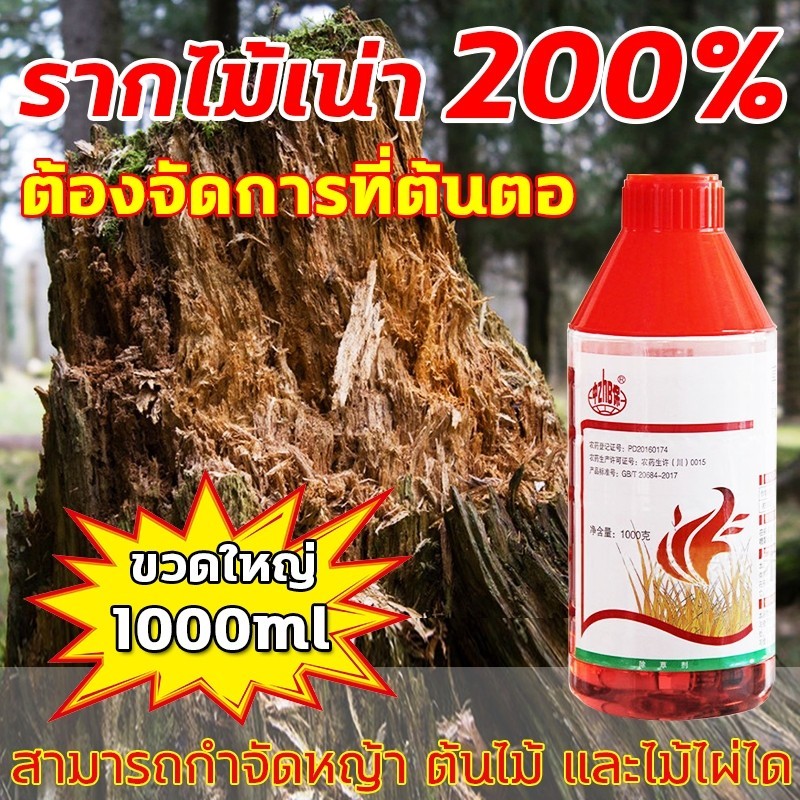 มีผลใน 3 วัน ยาฆ่าต้นไม้ใหญ่ 1000ML เข้มข้นมาก สารกําจัดกอไผ่ รากเน่ารากไม่ขึ้นอีก ยาฆ่ากอไผ่ ยาฆ่าตอไม้ ยาฆ่าหญ้า