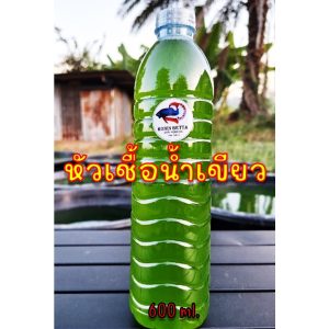 หัวเชื้อน้ำเขียวเข้มข้น..!! 600ml.