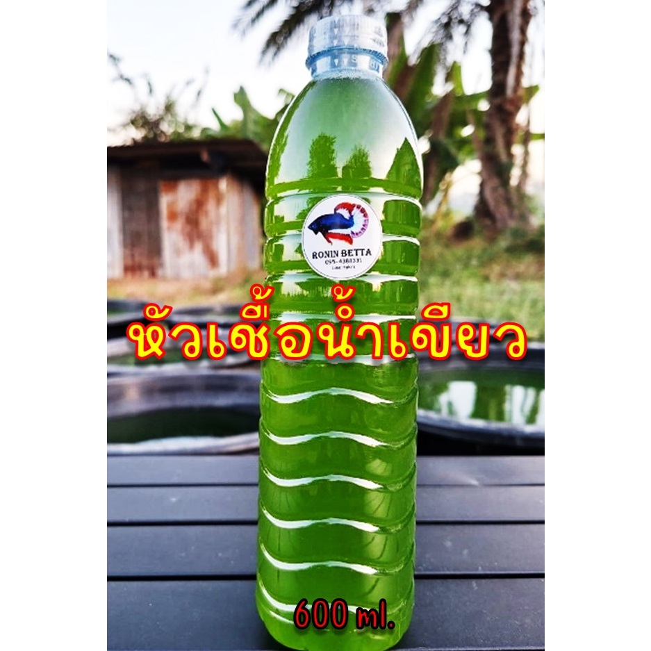หัวเชื้อน้ำเขียวเข้มข้น..!! 600ml.