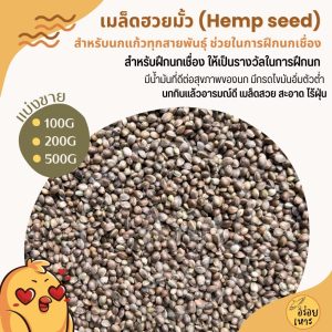 ฮวยมั้ว เกรดA เนื้อแน่น สำหรับฝึกนก อาหารนกแก้ว สะอาด ร่อนฝุ่นทุกถุง (บรรจุ 100G / 200G / 500G)