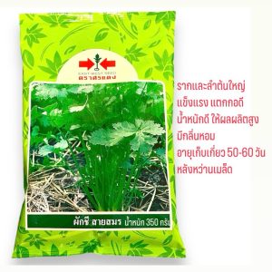 ศรแดง เมล็ดผักชี สายสมร กอใหญ่ (350 กรัม)