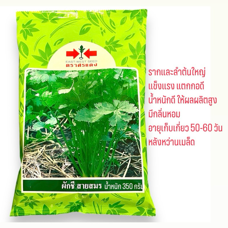 ศรแดง เมล็ดผักชี สายสมร กอใหญ่ (350 กรัม)