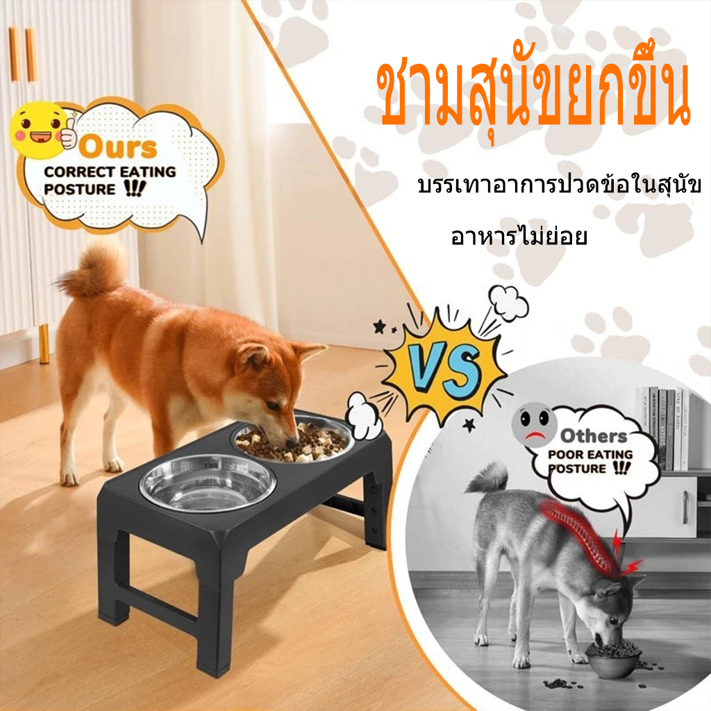 【จัดส่งในพื้นที่】ชามอาหาร สเตนเลส ปรับได้ 4 โหมดความสูง สําหรับสัตว์เลี้ยง สุนัข