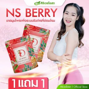 NS Berry ชากระเจี๊ยบผสมใบหม่อน มะตูม ใบเตย ดอกคำฝอย มัลเบอรี แครนเบอรี สตรอเบอรี หญ้าหวาน