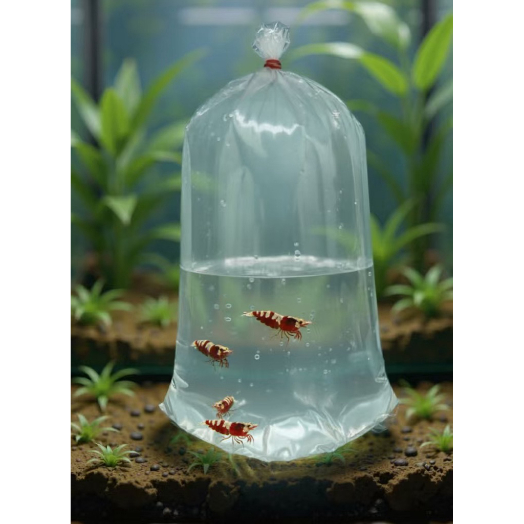 ถุงแพ็คปลาก้นโค้ง ซีล2ชั้น ถุงใสแพ็คปลากุ้ง ถุงก้นโค้ง ขนาด 15×36 CM.(6×15นิ้ว) 100 ใบ