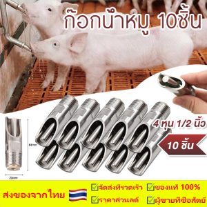 ก๊อกน้ำหมู 1ชุด10 ชิ้น ก๊อกหมู สแตนเลสแท้ ทองแดง ขนาด 4 หุน (1/2 นิ้ว) จุ๊บหมู จุกดูดน้ำหมู