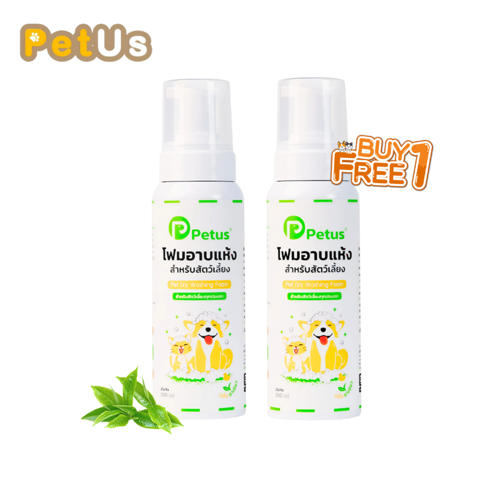 โฟมอาบน้ำแห้งสัตว์เลี้ยง แชมพูแมว แชมพูสุนัข ขนาด 290ml แห้งไว กลิ่นหอม ไม่ต้องล้างน้ำ สำหรับสัตว์เลี้ยง