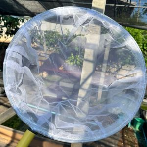 KPK กระชอนตาถี่ แยกปรสิตไรแดง แยกลูกน้ำกับไรแดง 6.5 นิ้ว และ 9.5 นิ้ว