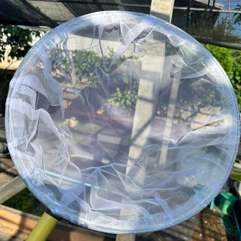 KPK กระชอนตาถี่ แยกปรสิตไรแดง แยกลูกน้ำกับไรแดง 6.5 นิ้ว และ 9.5 นิ้ว