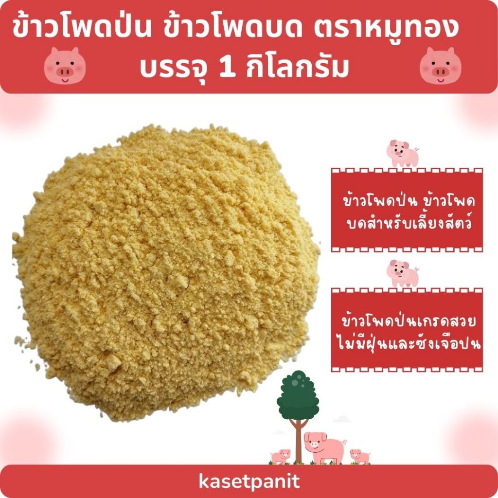 ข้าวโพดป่น ข้าวโพดบด ตราหมูทอง (1กิโลกรัม) สำหรับเลี้ยงสัตว์
