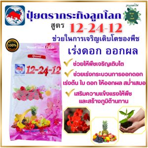 ปุ๋ยตรากระทิงลูกโลก 12-24-12 สูตรเร่งดอก สูตร เร่งดอก ปุ๋ยเร่งดอก ปุ๋ยเร่งผล ปุ๋ยทำดอก ปุ๋ยไม้ดอก ปุ๋ยดอก ดอก บำรุงผล ขน