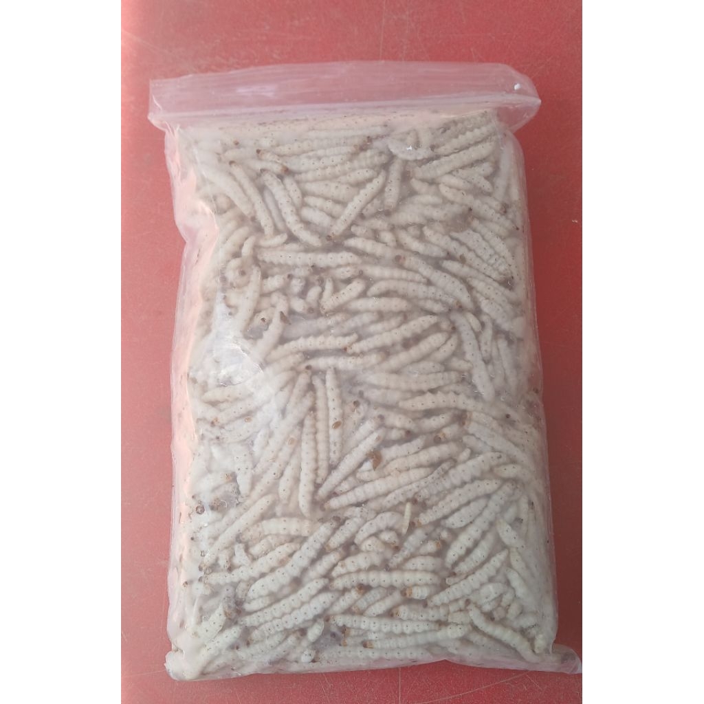 รถด่วนหรือหนอนไม้ไผ่ธรรมชาติ แช่แข็งไม่ปรุงรส  ขนาด1กิโล