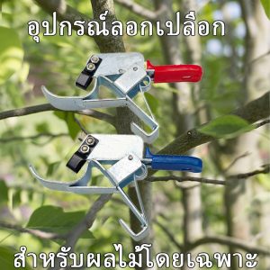 คีมควั่นเปลือกไม้ยี่ห้อฟลายมุ่ยทุ่ย – เครื่องมือควั่นต้นพุทรา/คีมลอกเปลือก/มีดเปิดเปลือก/กรรไกรควั่นกิ่งผลไม้