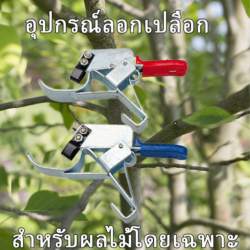 คีมควั่นเปลือกไม้ยี่ห้อฟลายมุ่ยทุ่ย – เครื่องมือควั่นต้นพุทรา/คีมลอกเปลือก/มีดเปิดเปลือก/กรรไกรควั่นกิ่งผลไม้