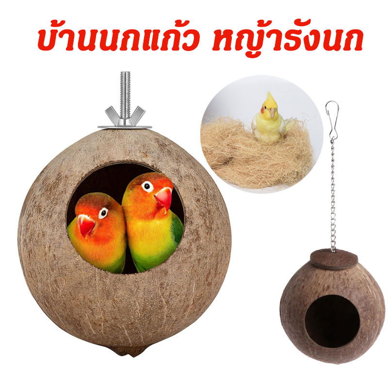 บ้านกะลา บ้านชูการ์ บ้านกระรอก บ้านนก แบบขัดเรียบ รังนก กะลามะพร้าว ที่นอนสัตว์ รังชูก้า กระรอก หนู