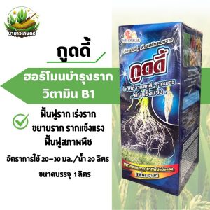 ฮอร์โมนบำรุงราก วิตามินบี1 (กูดดี้) 1ลิตร ฟื้นฟูราก เร่งราก ขยายราก ฟื้นฟูสภาพพืช