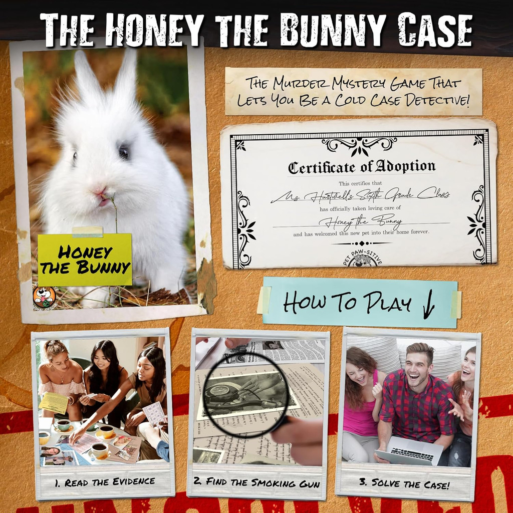 UNSOLVED CASE FILES | Honey The Bunny – A Family-Friendly Mystery Case to Solve