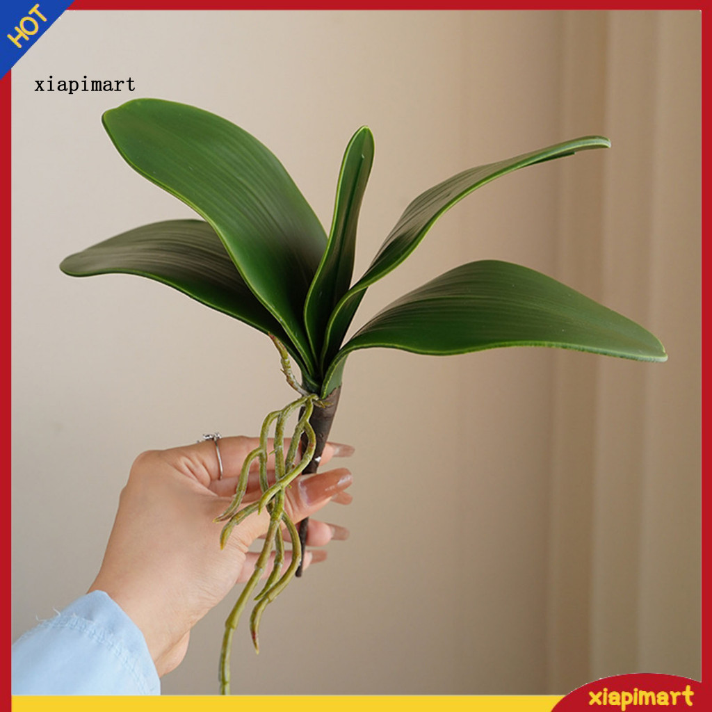 {xiapimart} ใบไม้จําลอง Non-Wilting ปลอม Phalaenopsis Orchid Leaves ตกแต่งบ้าน