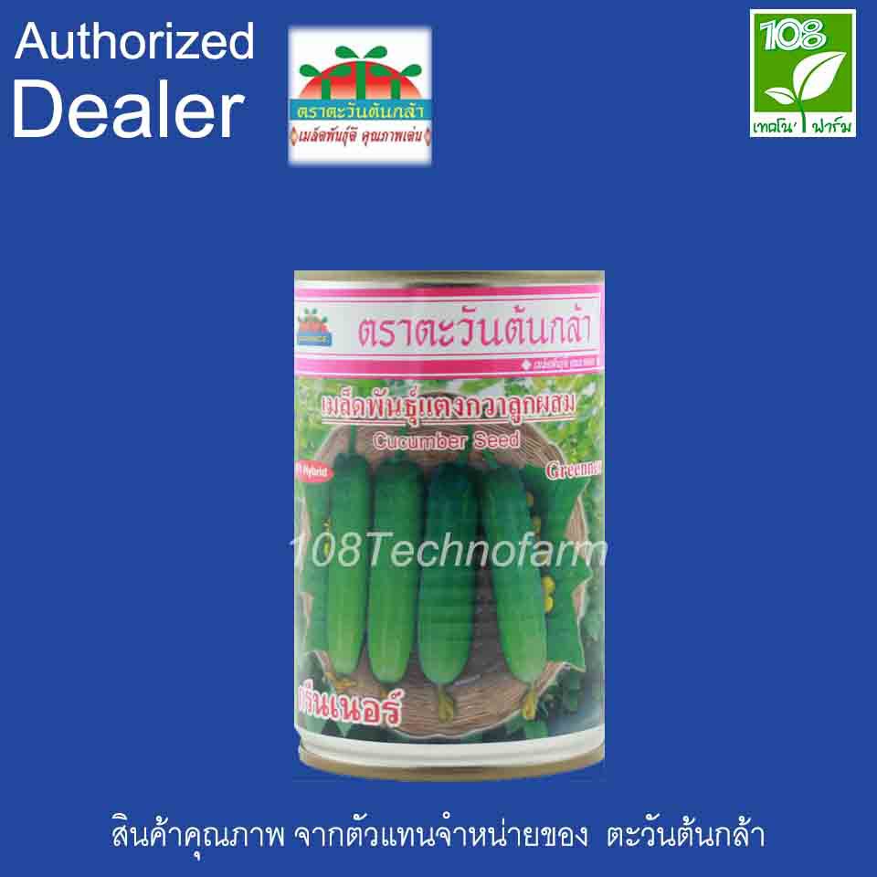 เมล็ดพันธุ์ แตงกวา กรีนเนอร์ ตราตะวันต้นกล้า ( 100 กรัม )