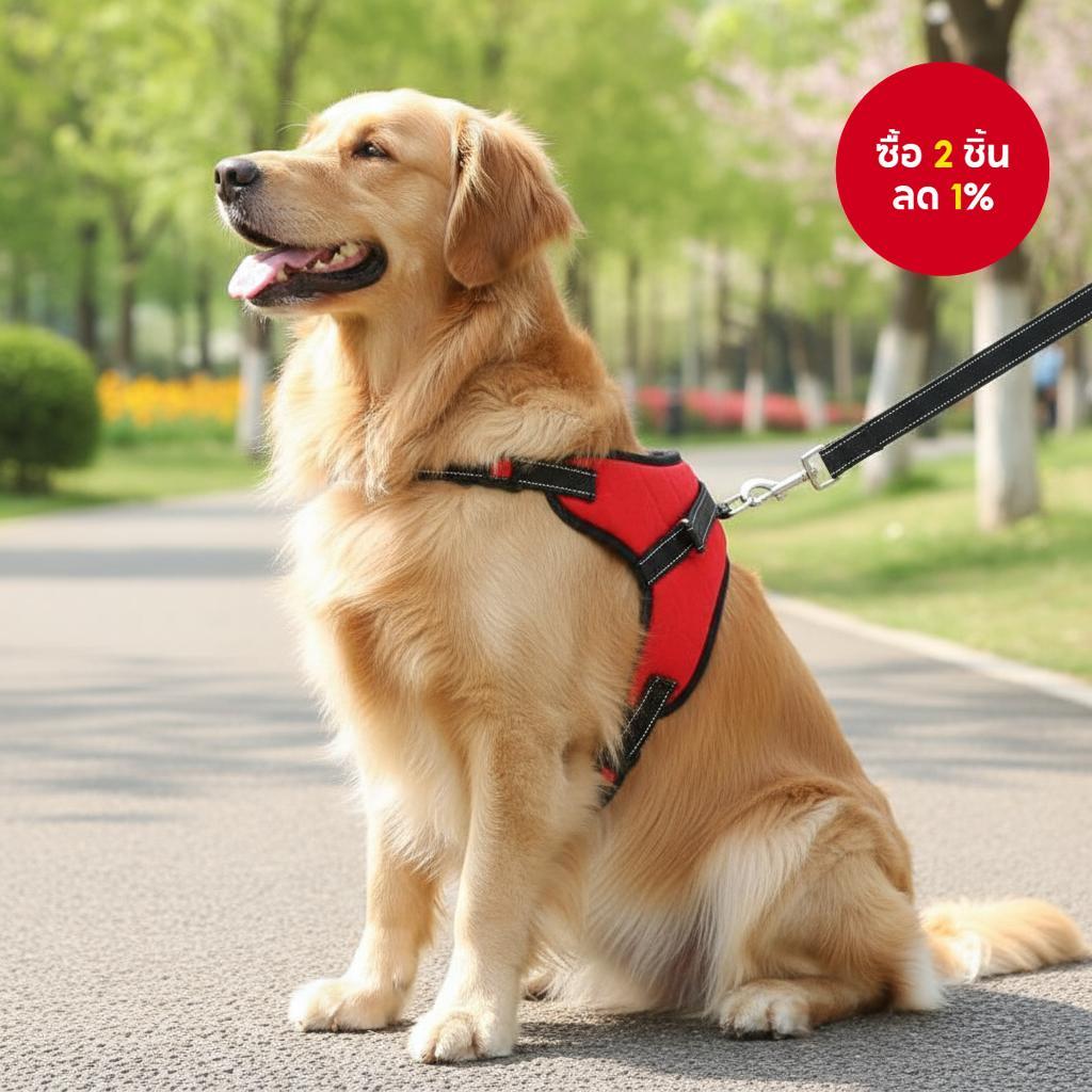 เสื้อกั๊กสะท้อนแสงสําหรับสุนัขพันธุ์กลางถึงใหญ่ PetPro, ปรับขนาดได้ นุ่ม เหมาะสําหรับเดินกลางแจ้ง