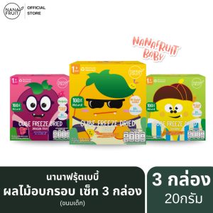 [ขนมเด็ก] นานาฟรุ้ตเบบี้ ผลไม้อบกรอบ ขนม สำหรับเด็ก (แก้วมังกร, มะม่วง , กล้วย) 20 กรัม