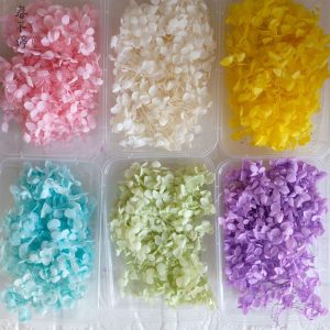 กลีบไฮเดรนเยียอันนาพรีเมี่ยม – ดอกไม้แห้งและเก็บรักษาธรรมชาติ 100% สําหรับช่อดอกไม้แต่งงาน ทําเอง ตกแต่งบ้าน ห่อของขวัญ