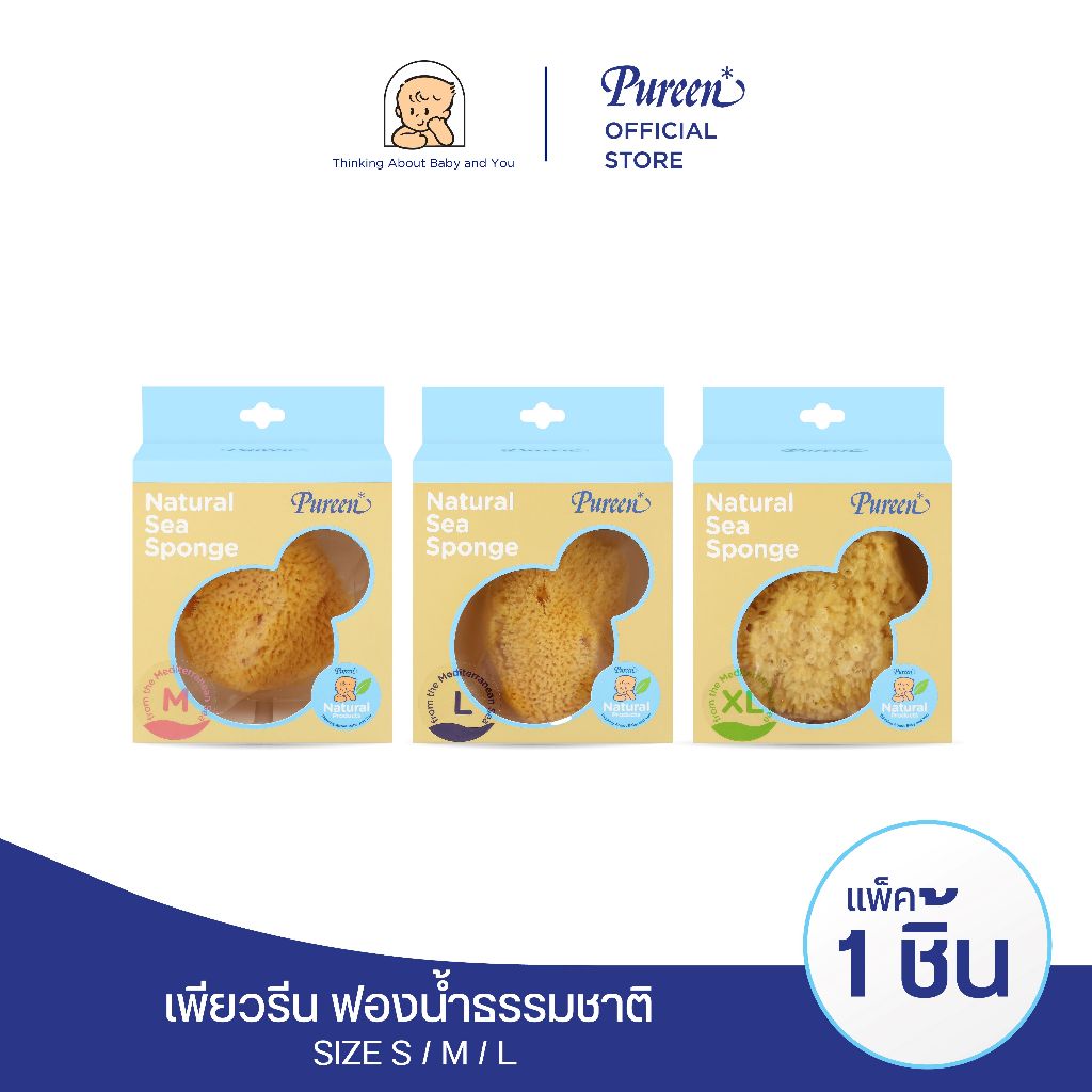 เพียวรีน ฟองน้ำธรรมชาติ พันธุ์ Fine Silk  ขนาดใหญ่พิเศษ