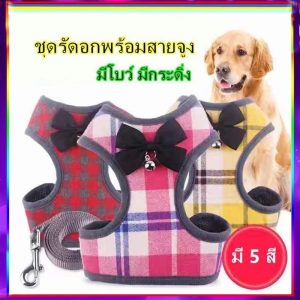 PP C3 ชุดรัดอกพร้อมสายจูง มีโบว์ มีกระดิ่ง สำหรับน้องหมา สายจูงแมว สายจูงรัดอก เสื้อสายจูง LIFU