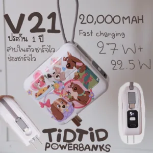 V21 20