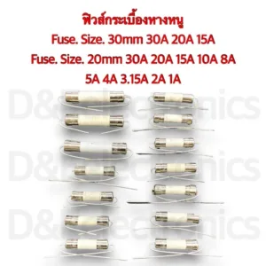 Fuse ฟิวส์กระเบื้องหางหนู Size.20mm /250v Size.30mm /250v ( 1ออเดอ/ต่อ1ชิ้น )